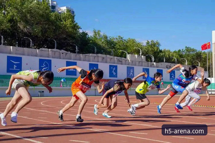 华体会体育平台最新版本详解与实用指南